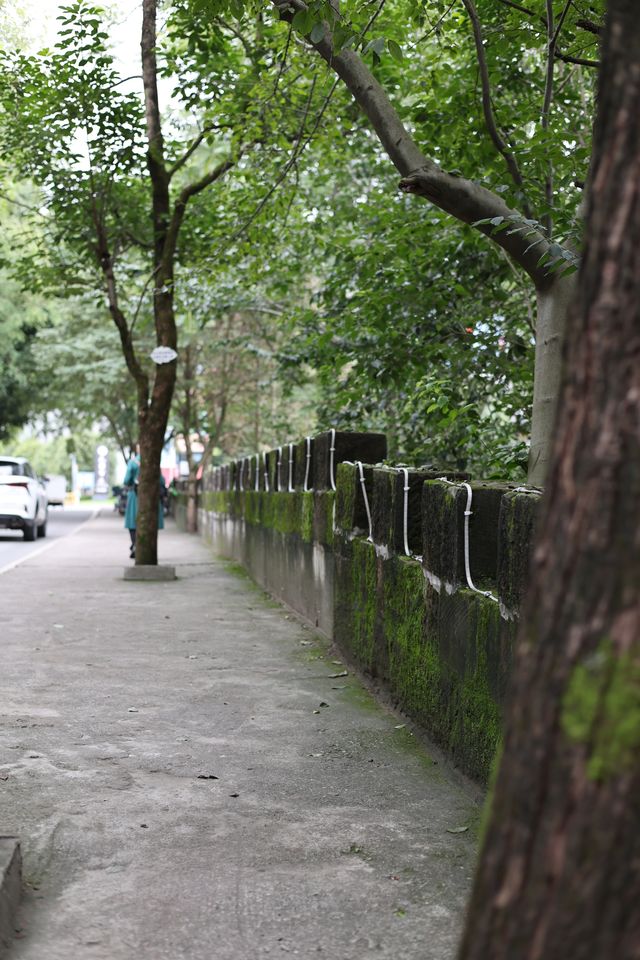 帶娃逛巴人石頭城 帶娃逛巴人石頭城