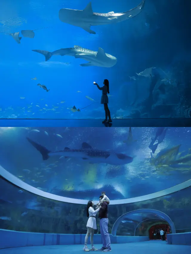 珠海長隆跟拍｜珠海長隆飛船樂園跟拍