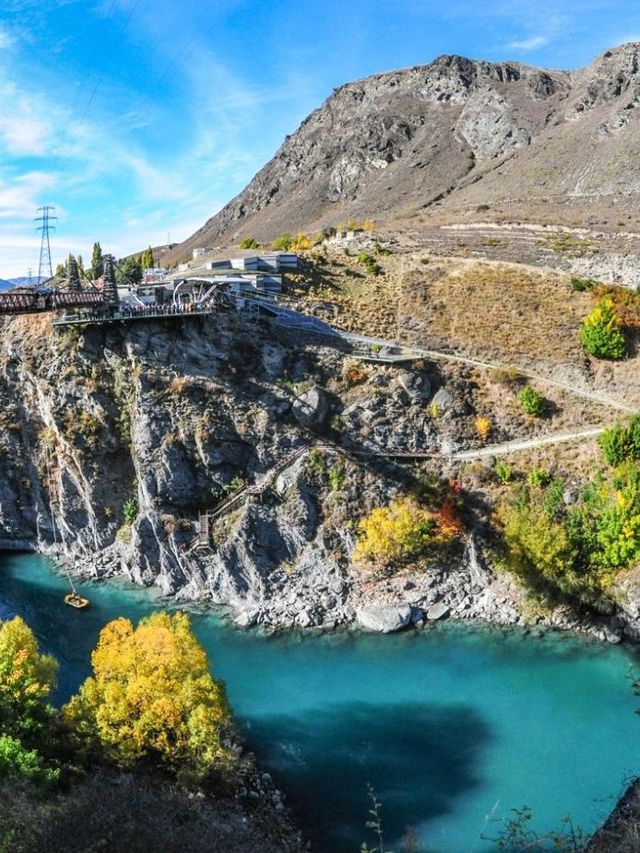 新西蘭1日包車遊 暢玩美景不停歇 新西蘭1日包車遊 暢玩美景不停歇