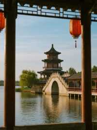 淄博週末遛娃！免費荷塘+蘆葦蕩太治癒啦～🪷