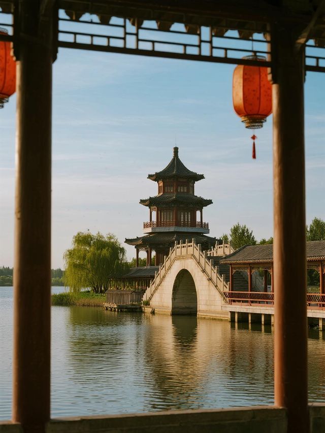 淄博週末遛娃！免費荷塘+蘆葦蕩太治癒啦～🪷