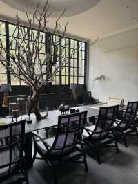 帶娃住進版納的大自然裡！真的是快樂星球！