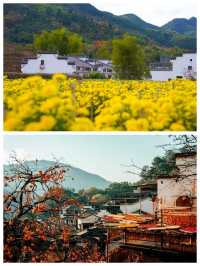 篁嶺曬秋濃，古城煙火暖