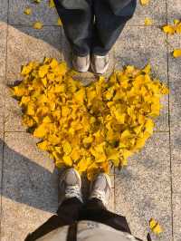 叢台公園の秋日封神操作！3分鐘吃透限定浪漫