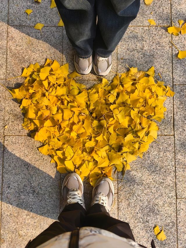 叢台公園の秋日封神操作！3分鐘吃透限定浪漫