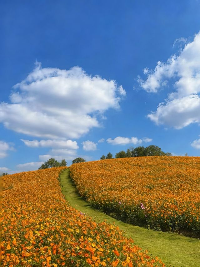 5個景點玩轉茅山周邊