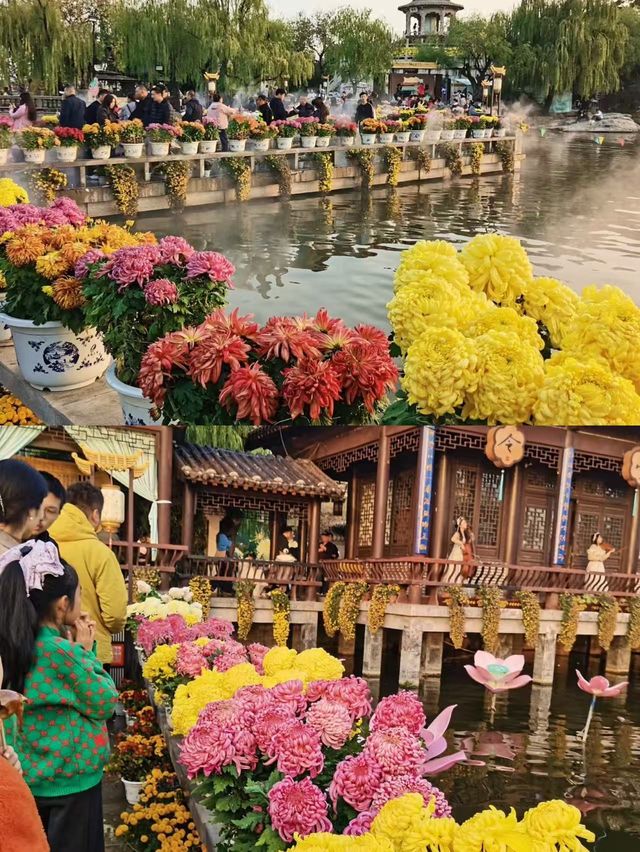 鄭州-洛陽-開封5日帶娃遊超全攻略