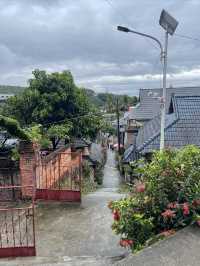 闖入雨林秘境探索千年曼丟古寨，傣家風情拍不停