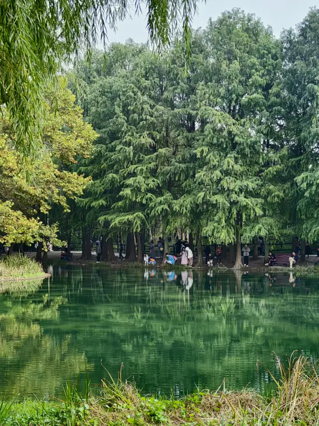 99% ของคนไม่รู้จักสถานที่ถ่ายภาพเงาสะท้อนลับ