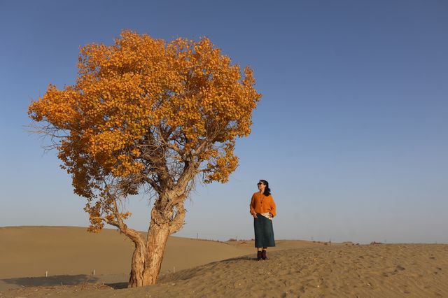 2025南疆庫車_喀什十天胡楊遊 2025南疆庫車_喀什十天胡楊遊