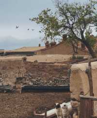 鴻達酒店的免費停車場真能處