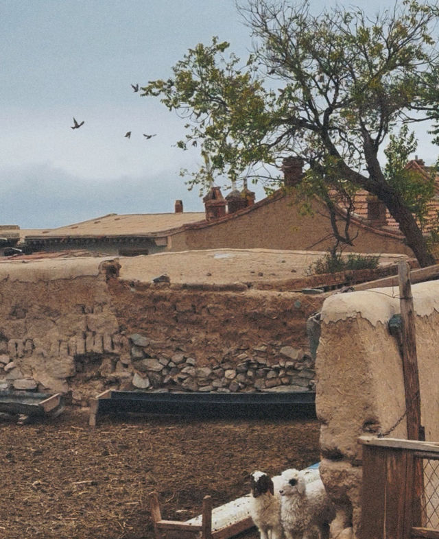 鴻達酒店的免費停車場真能處 鴻達酒店的免費停車場真能處