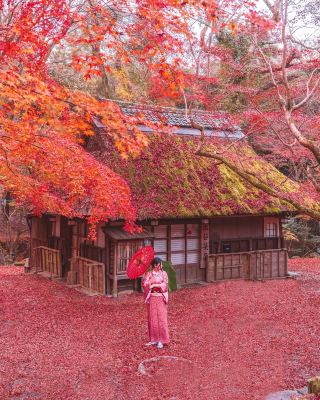 奈良秋季紅葉打卡指南收藏這篇就夠了！