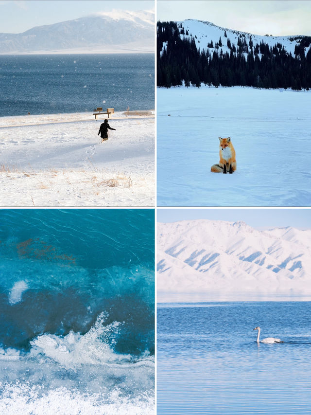 「冰雪雙境·奢享記」雪域與藍冰和鳴