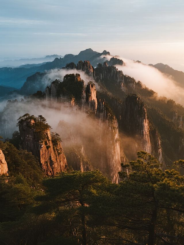 郴州莽山！帶娃解鎖不用爬的山