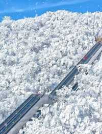 冬日的漢中龍頭山,一日遊攻略