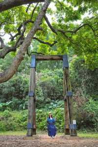 廣州citywalk覓一片科幻末日感暮光森林