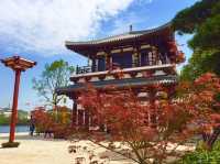 銅官窯·古鎮之光必看