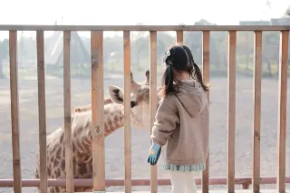Where to take kids in Jiangsu, Zhejiang, and Shanghai｜Experience staying in the Animal Tribe