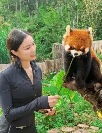 雲南普洱太陽河森林公園