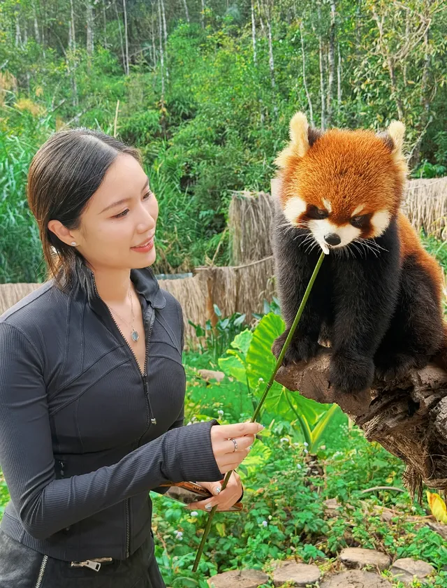 雲南普洱太陽河森林公園 雲南普洱太陽河森林公園