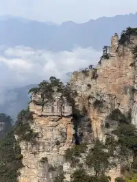 [11.05]跌宕起伏的張家界森林公園·攻略參考