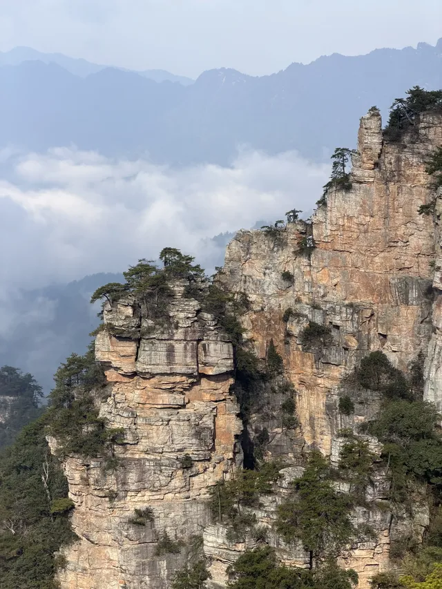 [11.05]跌宕起伏的張家界森林公園·攻略參考