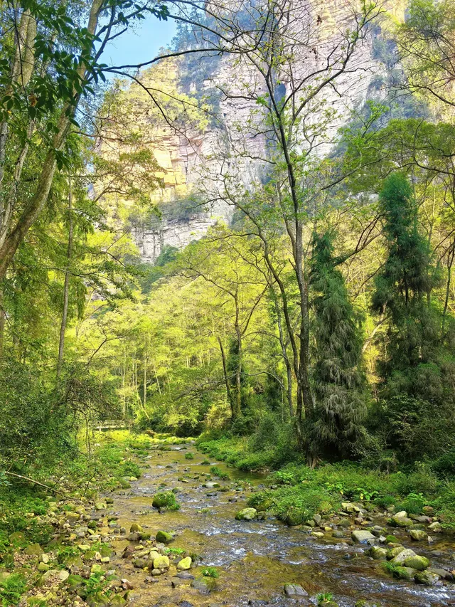 11月秋假|張家界旅遊4天3夜遛娃路線