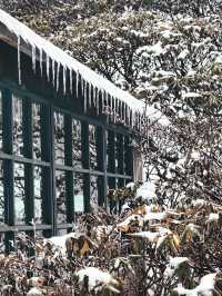 大理蒼山·11.21初雪驚喜攻略·冰雪浪漫速遞  臨時起意·搶佔雪景C位 11.21的蒼山，