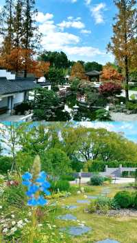 市區莫奈花園!人均40元玩轉四季花海