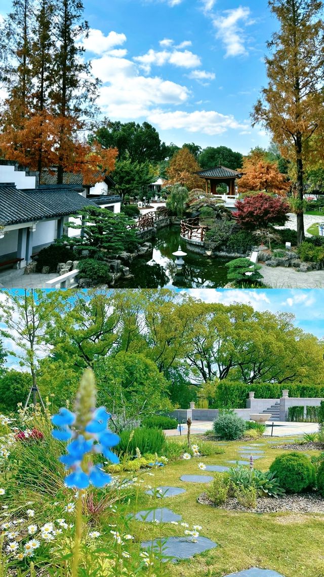 市區莫奈花園!人均40元玩轉四季花海 市區莫奈花園!人均40元玩轉四季花海