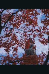 宜昌濱江:在長江岸線,邂逅老工業與深秋的詩意共鳴