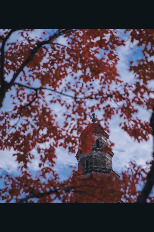 宜昌濱江:在長江岸線,邂逅老工業與深秋的詩意共鳴 宜昌濱江:在長江岸線,邂逅老工業與深秋的詩意共鳴