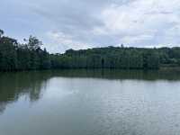 肇慶七星岩|嶺南第一奇觀