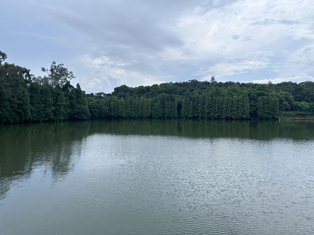 肇慶七星岩|嶺南第一奇觀 肇慶七星岩|嶺南第一奇觀