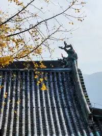 我宣佈,這是我河南最中意的小木頭房子