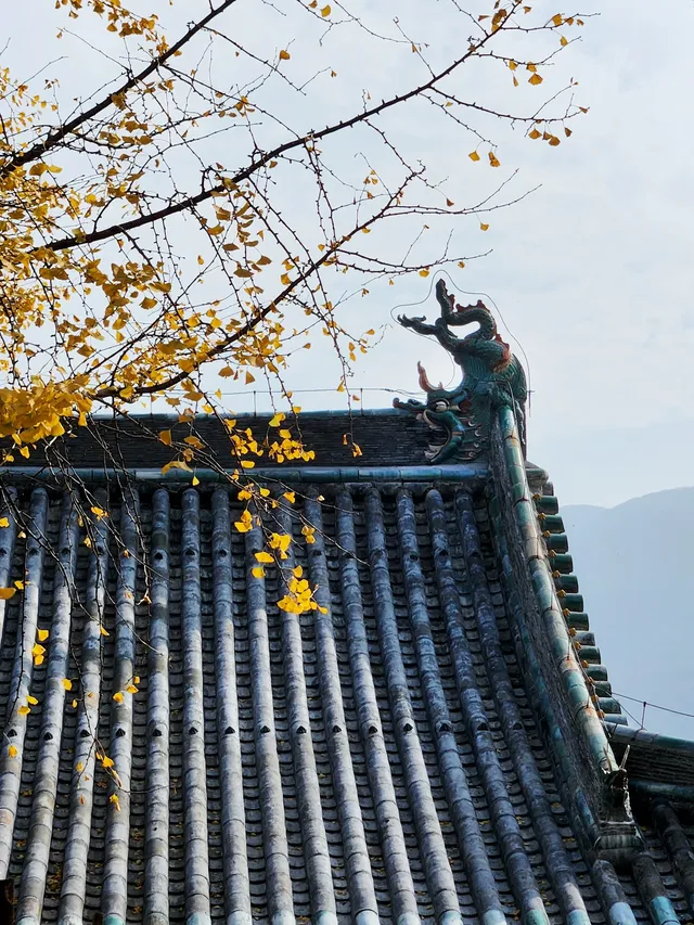 我宣佈,這是我河南最中意的小木頭房子 我宣佈,這是我河南最中意的小木頭房子