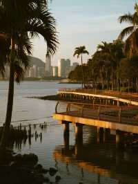 深圳親子紅樹林全攻略！帶娃解鎖5大濕地，觀鳥+日落+騎行