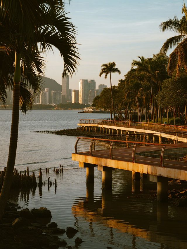 深圳親子紅樹林全攻略！帶娃解鎖5大濕地，觀鳥+日落+騎行