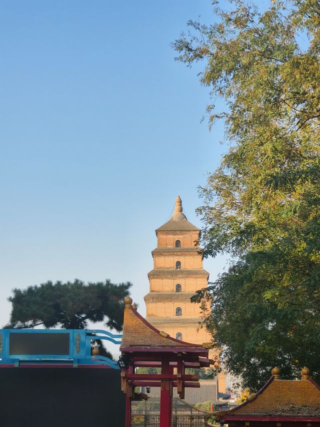 深秋初冬的西安大雁塔半日遊也太愜意了吧！