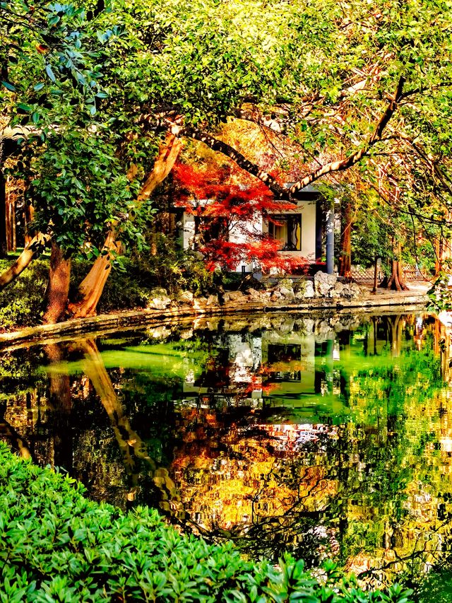 上海也有莫奈的花園 上海也有莫奈的花園