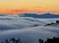 景邁山年度最佳雲海日出觀賞季
