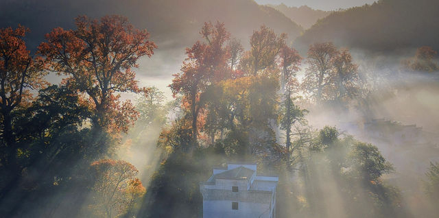 婺源石城秋日行攝全攻略｜沉浸於紅葉晨霧的水墨畫境