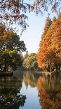 這裡的風景如詩如畫!