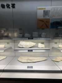 武漢 / 中國地質大學逸夫博物館
