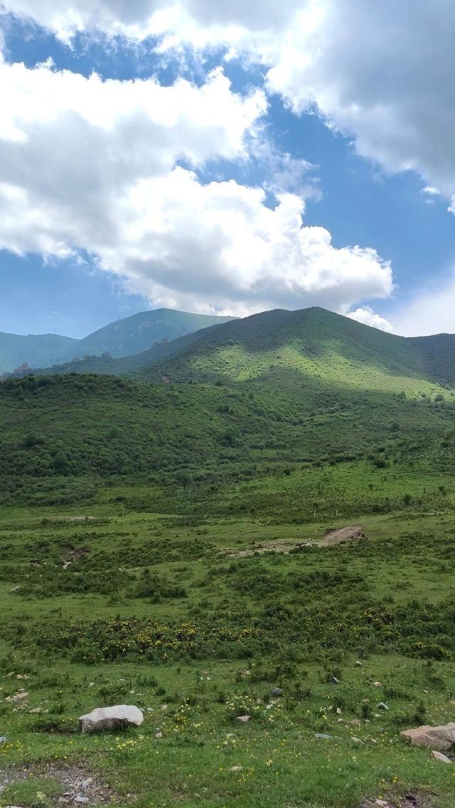 藏在周邊的祁連秘境,四季皆美的生態畫卷 藏在周邊的祁連秘境,四季皆美的生態畫卷