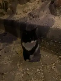 2025.11月的卡帕多奇亞|格雷梅