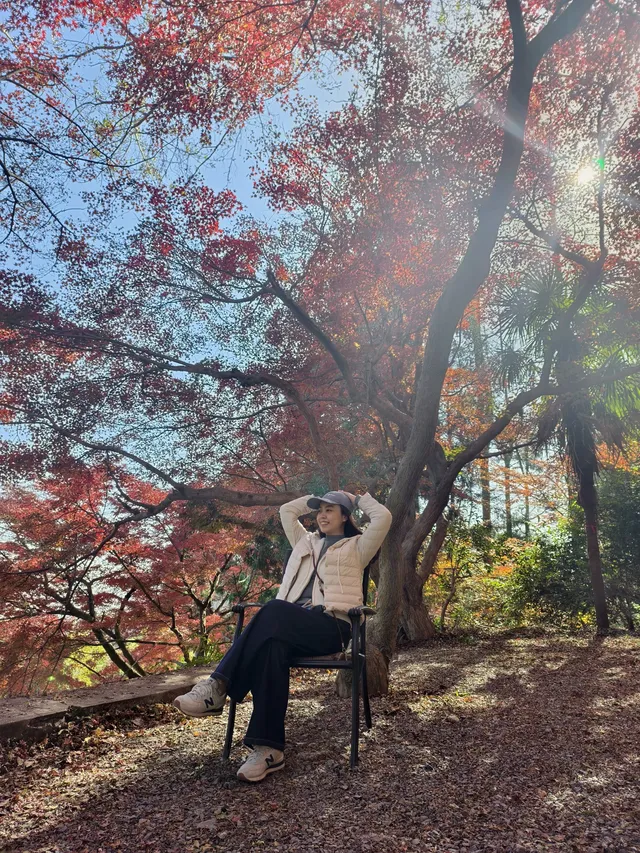 留住秋天的一百種方式之莫干山的楓葉