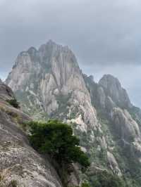 1日黃山包車遊打卡所有精華景點