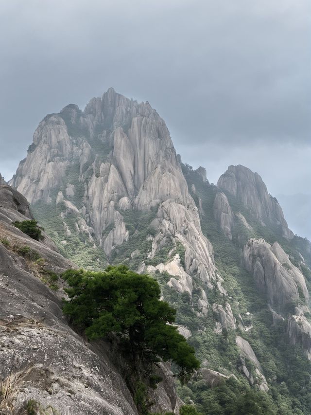 1日黃山包車遊打卡所有精華景點 1日黃山包車遊打卡所有精華景點